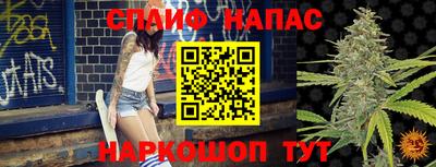 прущие грибы Тара