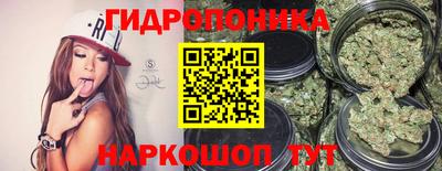 амф Тверь
