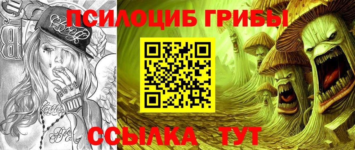 Псилоцибиновые грибы GOLDEN TEACHER Новочебоксарск