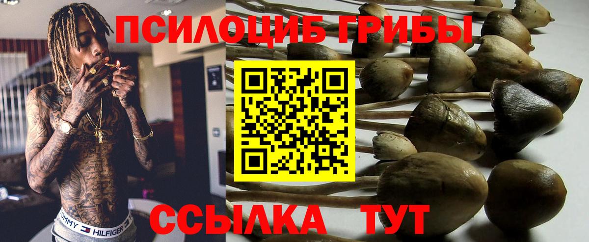 купить   Вход с VPN  Новочебоксарск  Псилоцибиновые грибы MAGIC MUSHROOMS 